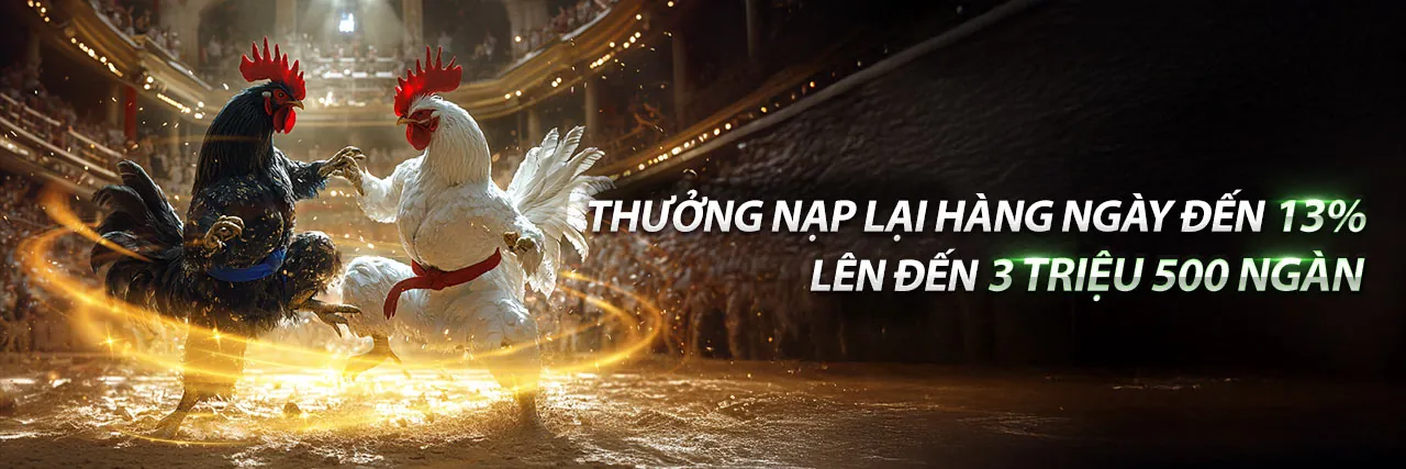 Hình ảnh đá gà trực tuyến tại QT99 link vào